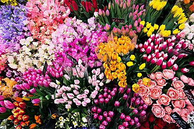 发售即加入！《猎人竞技场：传奇》8月PS会免现已确认