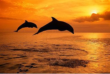 轻量级奇幻RTS《最后的巫后：众王纷争的年代》 将于3月24日正式上线Steam