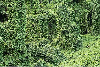 《街头霸王6》官方漫画5月6日首期免费看